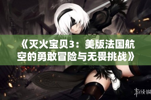 《灭火宝贝3：美版法国航空的勇敢冒险与无畏挑战》