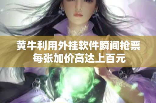 黄牛利用外挂软件瞬间抢票 每张加价高达上百元
