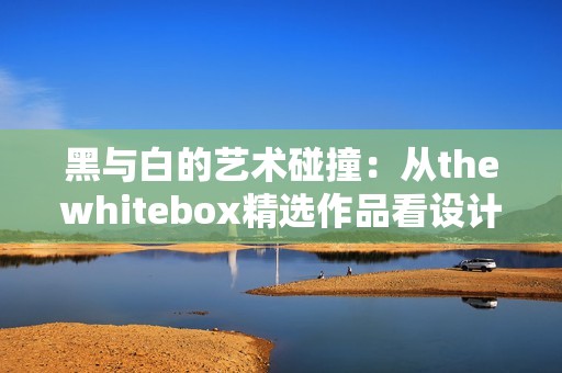 黑与白的艺术碰撞：从thewhitebox精选作品看设计之美