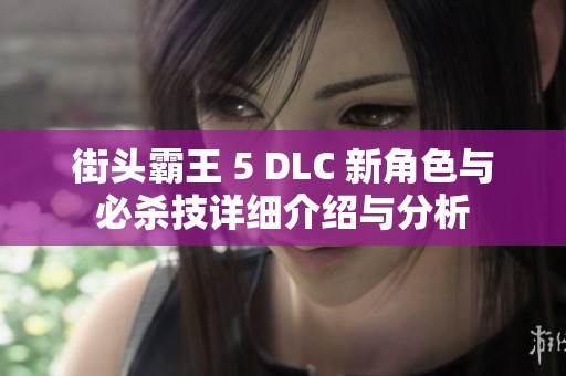 街头霸王 5 DLC 新角色与必杀技详细介绍与分析
