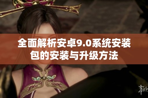 全面解析安卓9.0系统安装包的安装与升级方法
