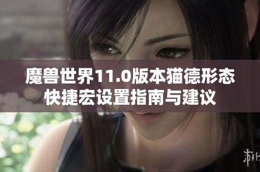 魔兽世界11.0版本猫德形态快捷宏设置指南与建议