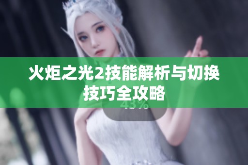 火炬之光2技能解析与切换技巧全攻略