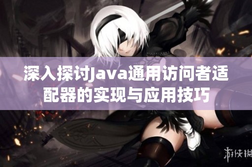 深入探讨Java通用访问者适配器的实现与应用技巧