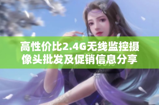 高性价比2.4G无线监控摄像头批发及促销信息分享