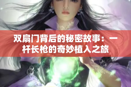 双扇门背后的秘密故事：一杆长枪的奇妙植入之旅