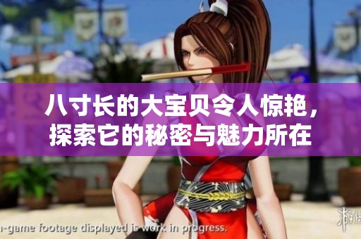 八寸长的大宝贝令人惊艳，探索它的秘密与魅力所在