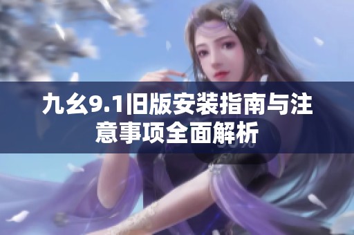 九幺9.1旧版安装指南与注意事项全面解析