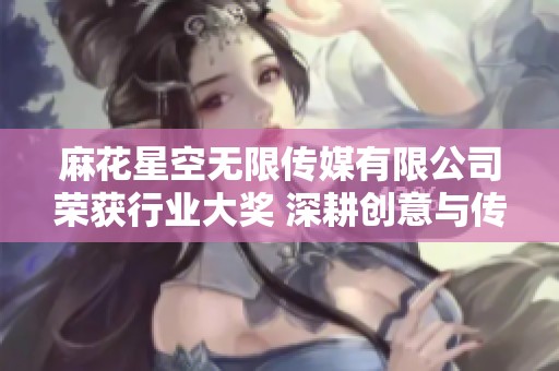 麻花星空无限传媒有限公司荣获行业大奖 深耕创意与传播市场