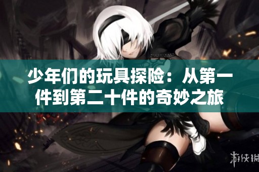 少年们的玩具探险：从第一件到第二十件的奇妙之旅