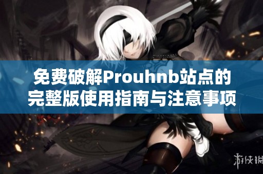 免费破解Prouhnb站点的完整版使用指南与注意事项