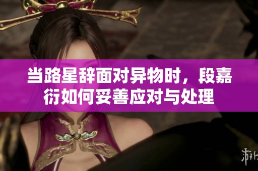 当路星辞面对异物时，段嘉衍如何妥善应对与处理