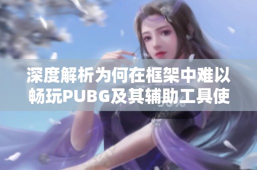 深度解析为何在框架中难以畅玩PUBG及其辅助工具使用方法