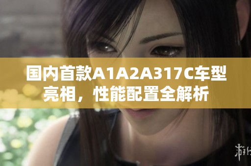 国内首款A1A2A317C车型亮相，性能配置全解析