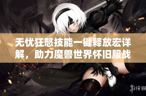 无忧狂怒技能一键释放宏详解，助力魔兽世界怀旧服战士玩家