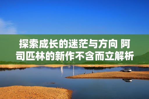 探索成长的迷茫与方向 阿司匹林的新作不含而立解析