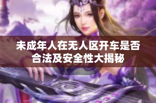 未成年人在无人区开车是否合法及安全性大揭秘