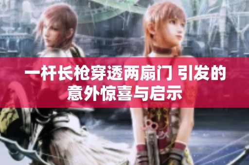 一杆长枪穿透两扇门 引发的意外惊喜与启示