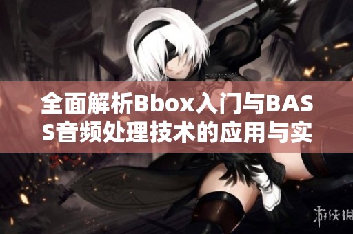 全面解析Bbox入门与BASS音频处理技术的应用与实现