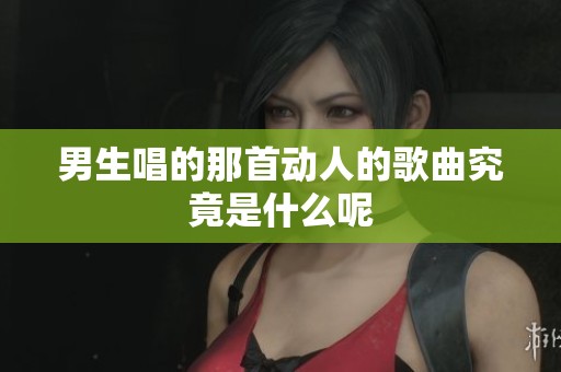 男生唱的那首动人的歌曲究竟是什么呢