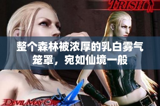 整个森林被浓厚的乳白雾气笼罩，宛如仙境一般