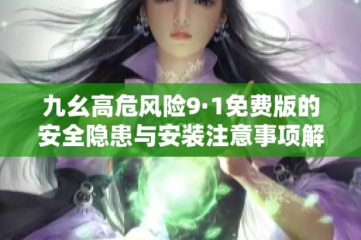 九幺高危风险9·1免费版的安全隐患与安装注意事项解析