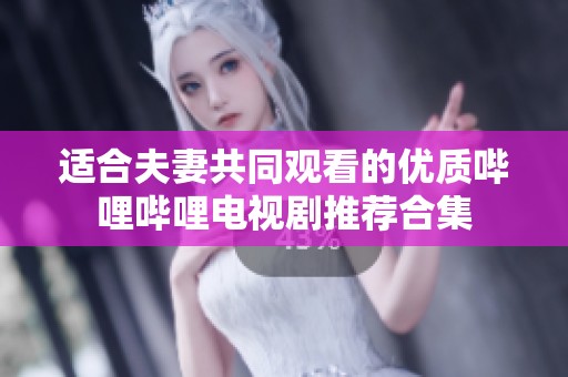 适合夫妻共同观看的优质哔哩哔哩电视剧推荐合集