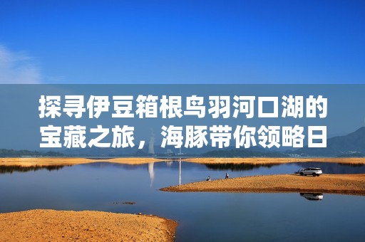 探寻伊豆箱根鸟羽河口湖的宝藏之旅，海豚带你领略日本之美
