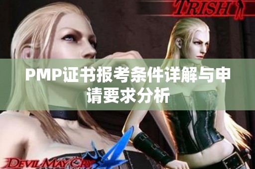 PMP证书报考条件详解与申请要求分析