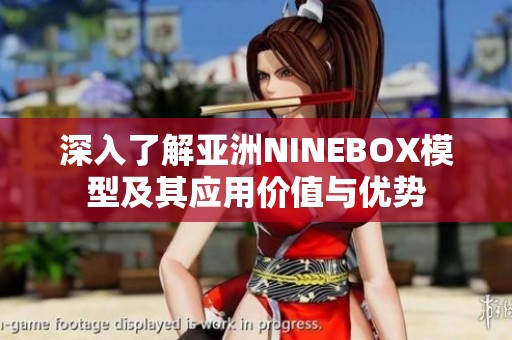 深入了解亚洲NINEBOX模型及其应用价值与优势