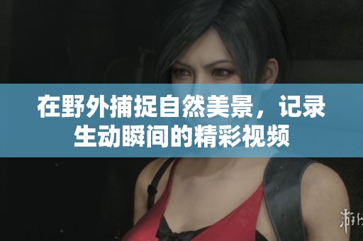 在野外捕捉自然美景，记录生动瞬间的精彩视频