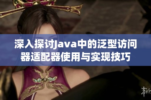深入探讨Java中的泛型访问器适配器使用与实现技巧