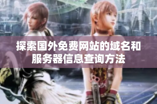 探索国外免费网站的域名和服务器信息查询方法