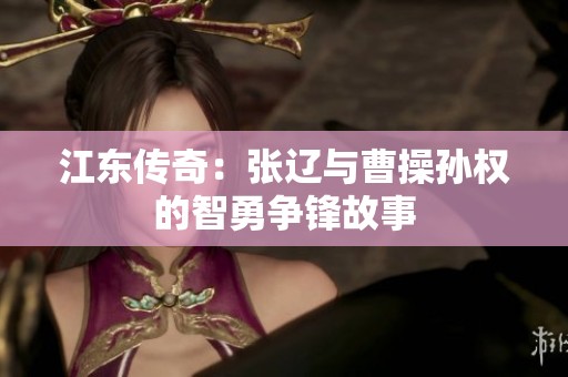 江东传奇：张辽与曹操孙权的智勇争锋故事
