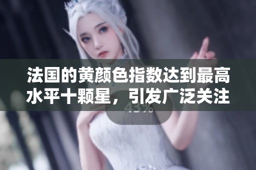 法国的黄颜色指数达到最高水平十颗星，引发广泛关注