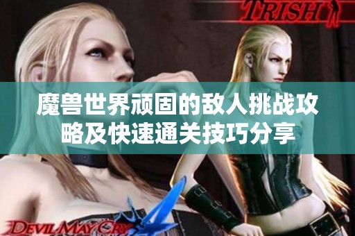 魔兽世界顽固的敌人挑战攻略及快速通关技巧分享