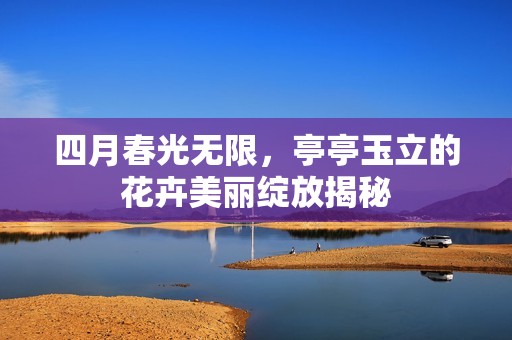 四月春光无限，亭亭玉立的花卉美丽绽放揭秘