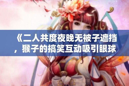 《二人共度夜晚无被子遮挡，猴子的搞笑互动吸引眼球》