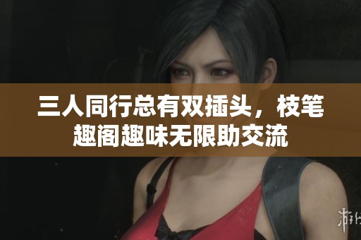 三人同行总有双插头，枝笔趣阁趣味无限助交流