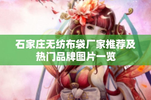 石家庄无纺布袋厂家推荐及热门品牌图片一览