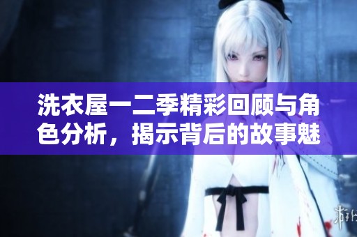 洗衣屋一二季精彩回顾与角色分析，揭示背后的故事魅力