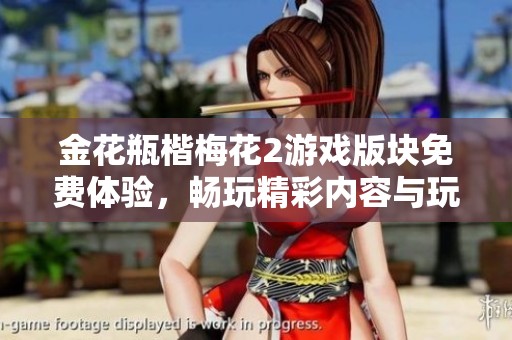 金花瓶楷梅花2游戏版块免费体验，畅玩精彩内容与玩法