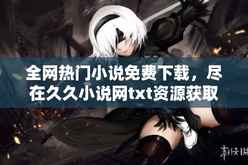 全网热门小说免费下载，尽在久久小说网txt资源获取平台