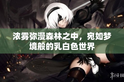 浓雾弥漫森林之中，宛如梦境般的乳白色世界