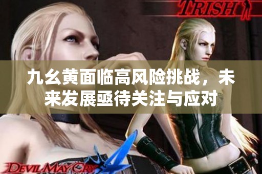 九幺黄面临高风险挑战，未来发展亟待关注与应对