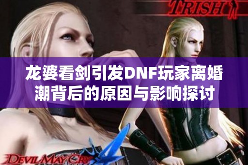 龙婆看剑引发DNF玩家离婚潮背后的原因与影响探讨