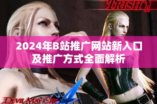 2024年B站推广网站新入口及推广方式全面解析