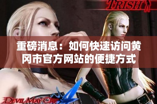 重磅消息：如何快速访问黄冈市官方网站的便捷方式