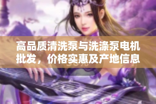 高品质清洗泵与洗涤泵电机批发，价格实惠及产地信息一览