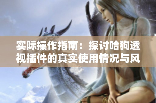 实际操作指南：探讨哈狗透视插件的真实使用情况与风险分析